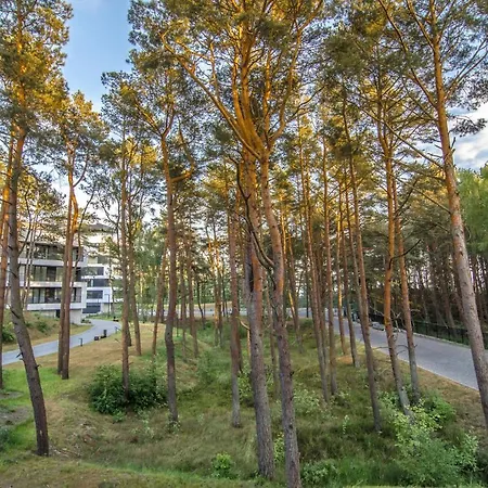 Premium Shellter - Day * Rogowo (Gryfice)