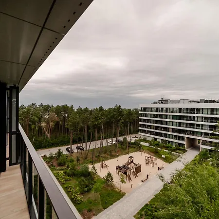 Premium Shellter - Day *