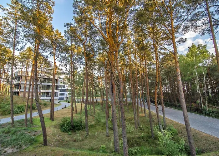 Premium Shellter - Day * Rogowo (Gryfice)