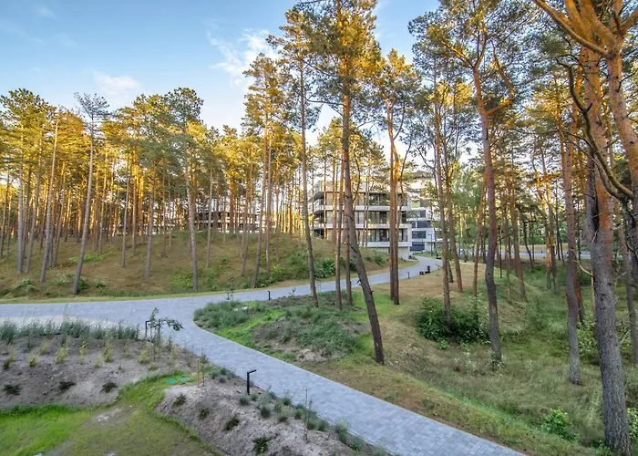 Premium Shellter - Day