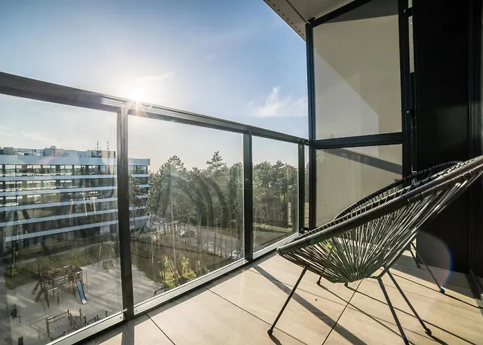 Premium Shellter - Day